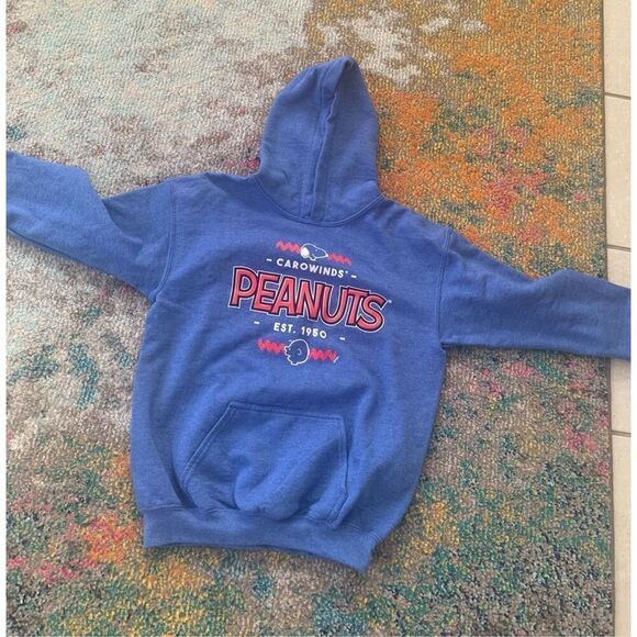 Gildan Peanuts Hoodie - Picture 1 of 6